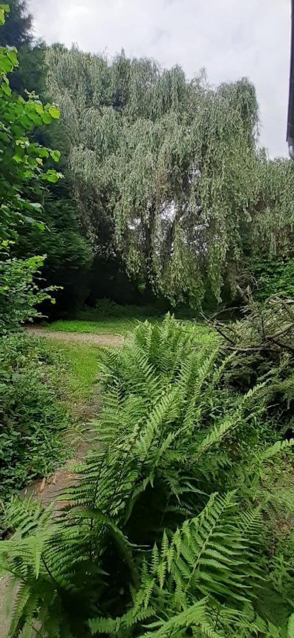 Fewo Im Naturschutzgebiet Hiddenhausen Екстер'єр фото