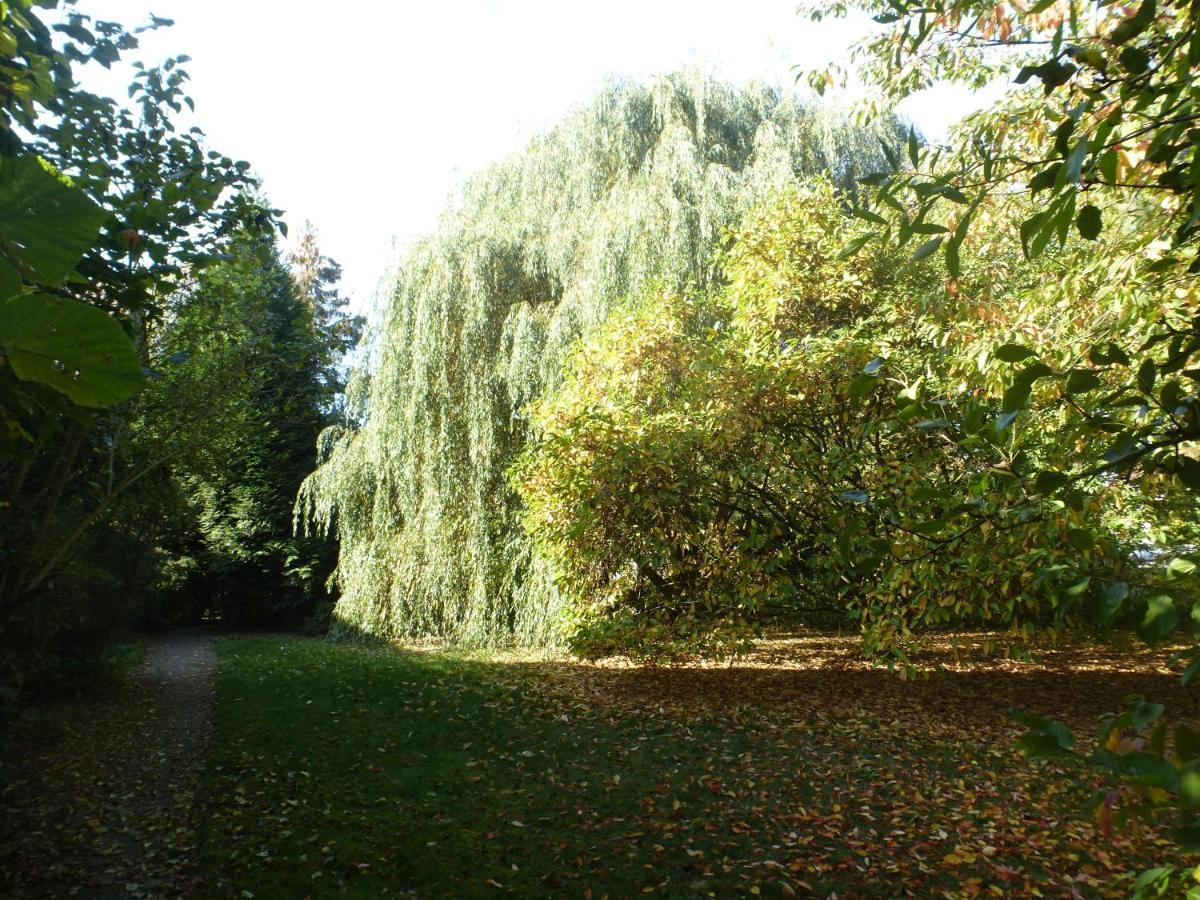 Fewo Im Naturschutzgebiet Hiddenhausen Екстер'єр фото