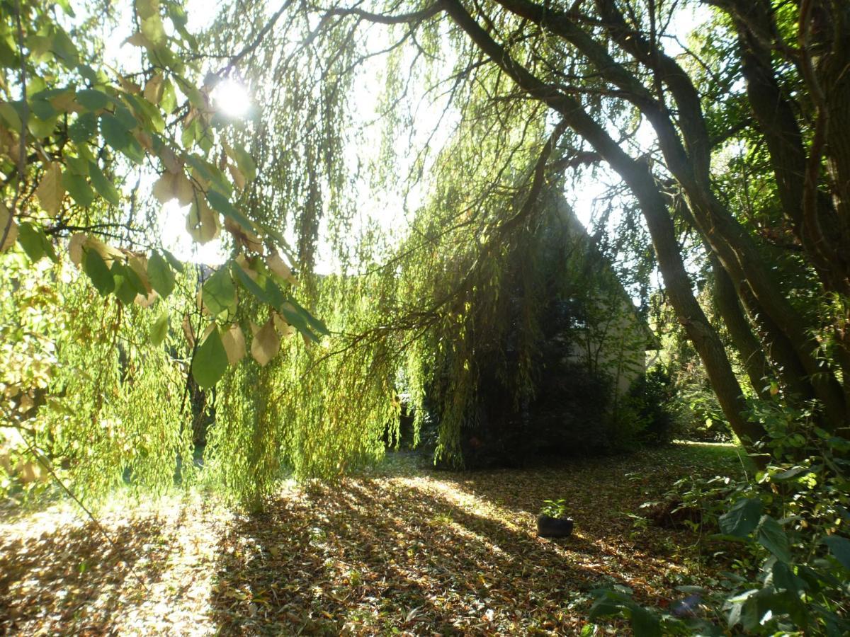 Fewo Im Naturschutzgebiet Hiddenhausen Екстер'єр фото